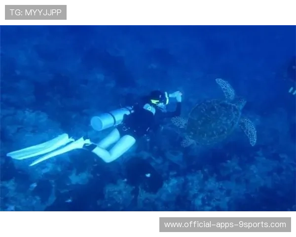 海牛或将重建：在海洋的守护者中迎来希望