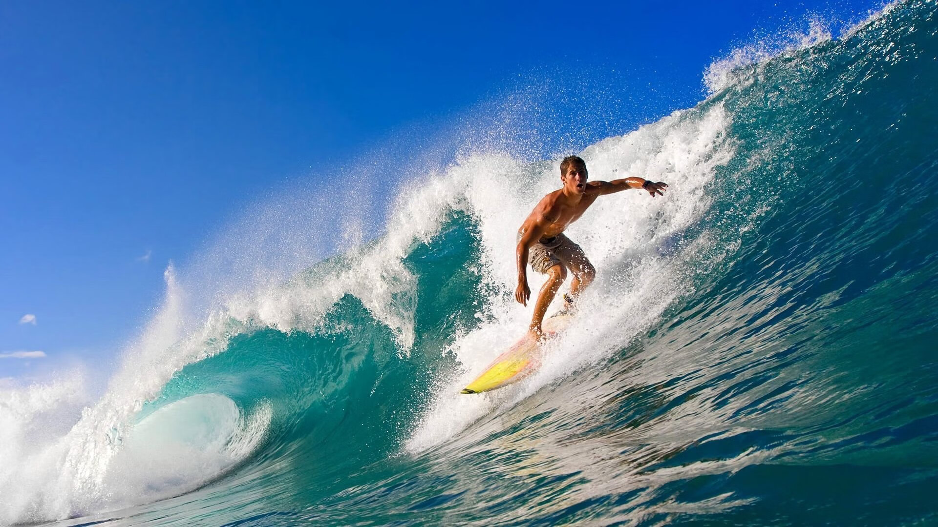 “南非羚羊队的进攻新武器：诺克·达维德·彼得森的独特技艺”